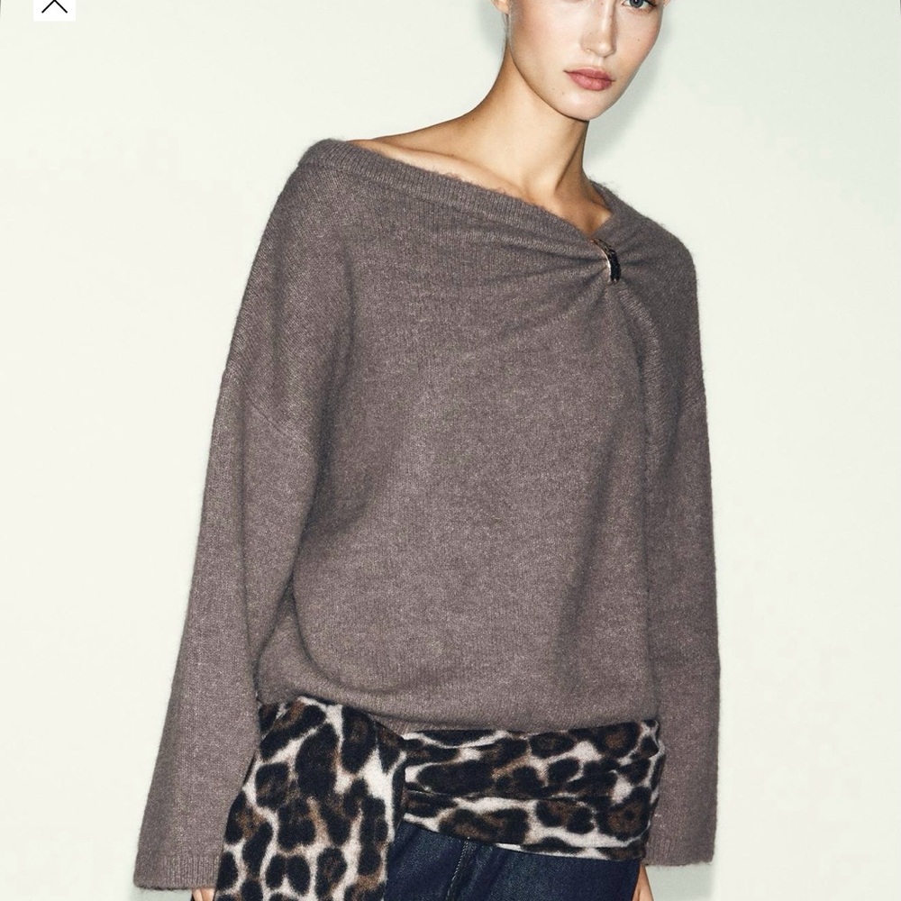 Zara Brooch Knit Sweater